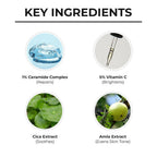 Dr. Sheth's Ceramide & Vitamin C Daily Brightening & Repair Face Cream With 5% Vitamin C, Cica & Amla, Brightens & Repairs Skin - Limited Time Offer | Grocsy