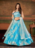 Wedding Designer Sky Nylon Georgette Readymade Lehenga Choli - Anbazaar | Grocsy