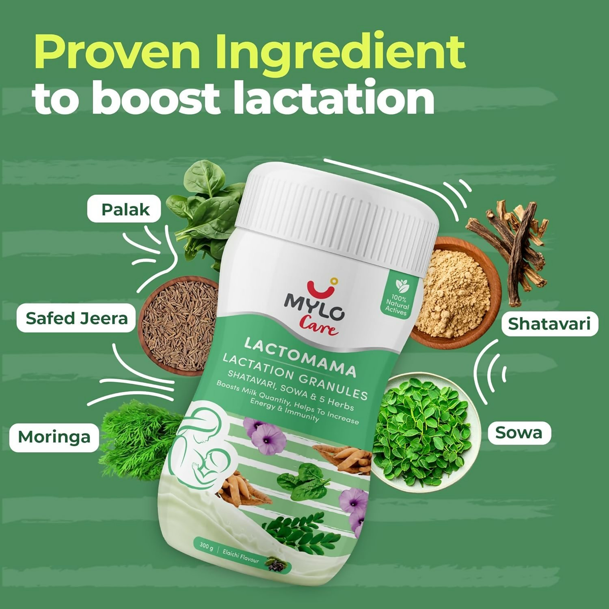 Mylo Care Lactomama Lactation Granules - Elaichi Flavour | Grocsy