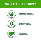 Dabur Herb'l Tulsi - Anti-Bacterial Toothpaste | Grocsy