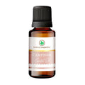 Korus Essential Camphor Essential Oil - Therapeutic Grade | Grocsy