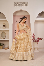 Eilara Women'S Beige Butterfly Net Thread Embroidered Work Designer Lehenga Choli | Grocsy
