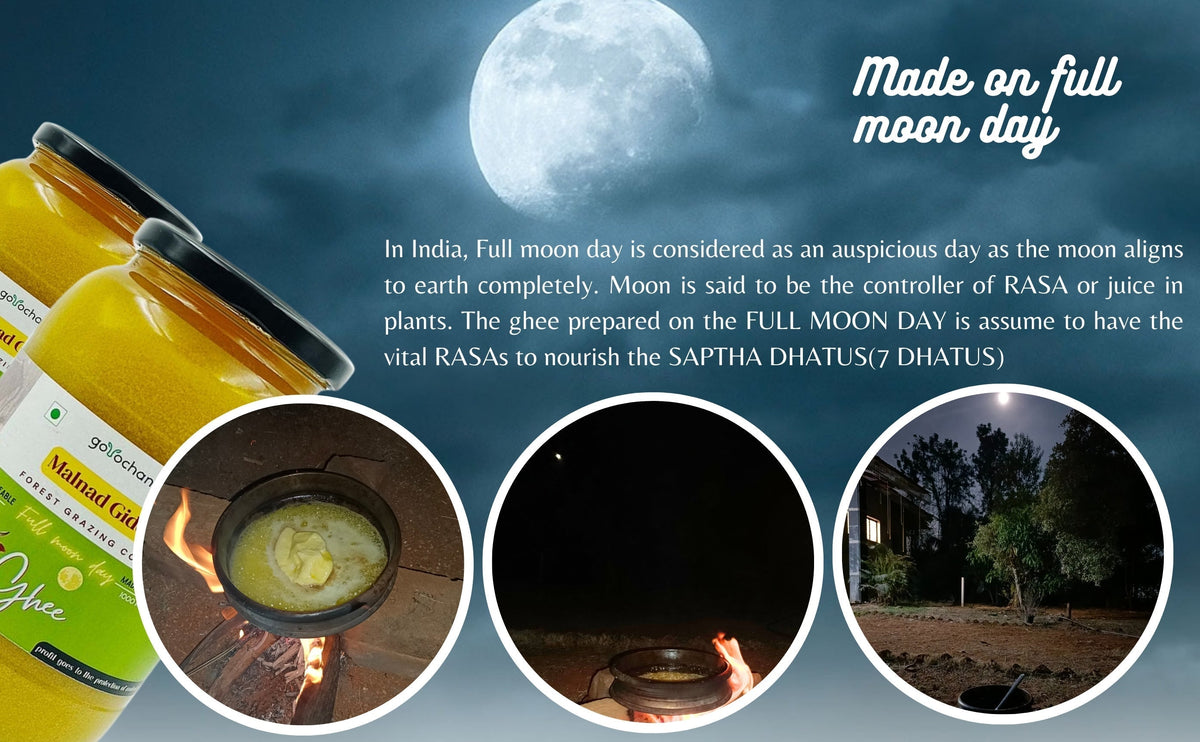 Gorochana 100% Source Traceable Desi Malnad Gidda A2 Full Moon Day Bilona Cow Ghee | Pure Ghee | Organic Ghee - Limited Time Offer - Swadesiicart
