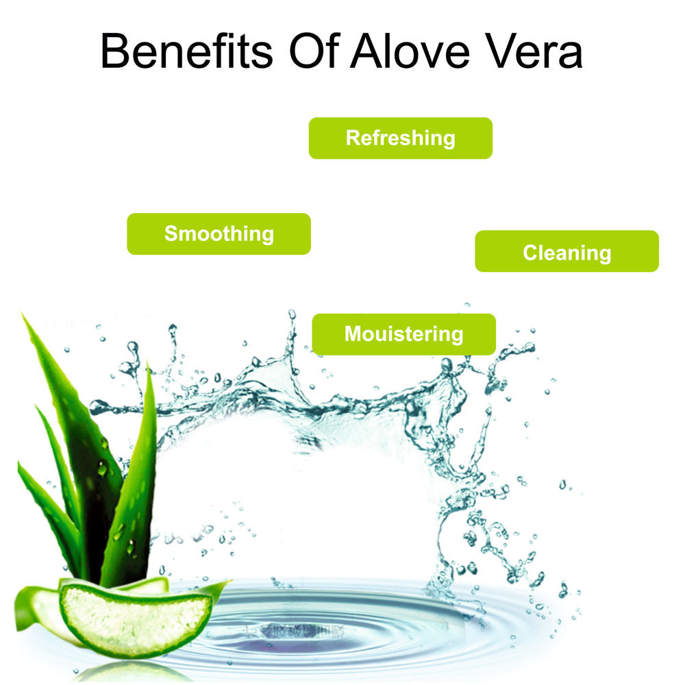 Shills Professional Refreshing Wet Wipes - Aloe Vera | Grocsy