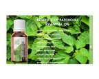 Ae Naturals Patchouli Essential Oil | Grocsy