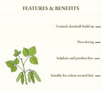 Just Herbs Ayurvedic Dandruff Control Soya Protein Shampoo | Grocsy