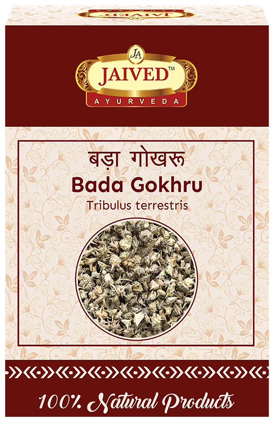 Jaived Ayurveda Bada Gokhru | Grocsy
