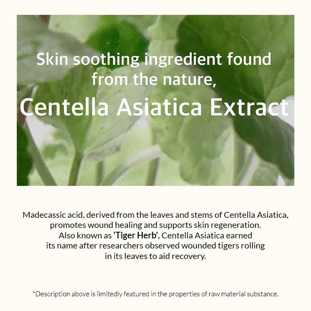 Mixsoon Soondy Centella Asiatica Essence, Calms Redness, Hydrates & Repairs Skin Barrier | Grocsy