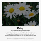 Mixsoon Korean Daisy Essence | Grocsy