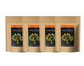 Dark Forest Monsoon Care Face Pack | Grocsy