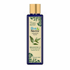 Blue Nectar Briganantadi - D Tea Tree Scalp & Anti Dandruff Hair Oil | Grocsy