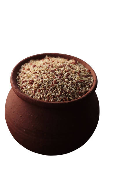 Siddhagiri's Satvyk Organic Rajmudi Rice | Grocsy