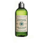 L'Occitane Volume & Strength Shampoo | Grocsy