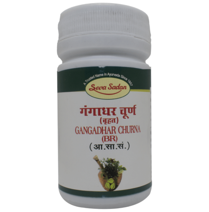 Seva Sadan Gangadhar Churna (BR) | Grocsy