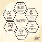 Mountainor Plant-Based Collagen Builder Capsules | Grocsy