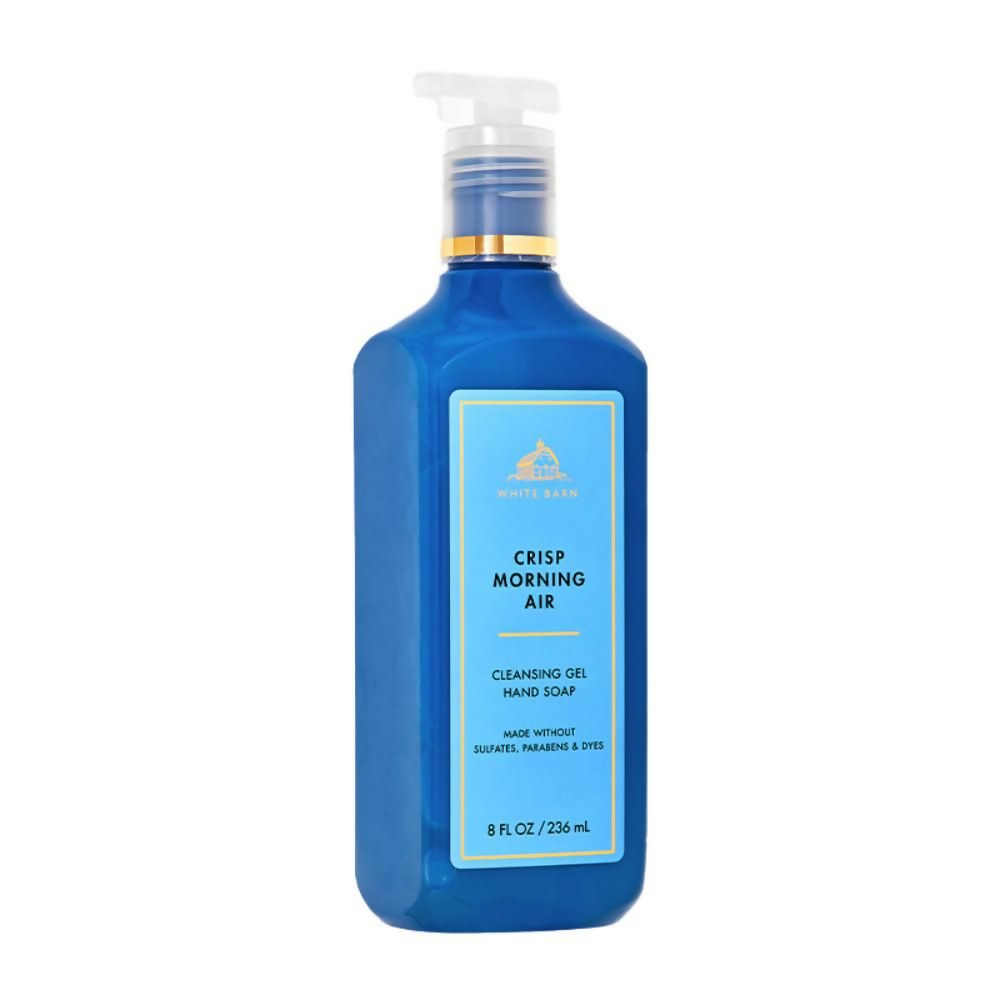 Bath & Body Works Crisp Morning Air Cleansing Gel Hand Soap | Grocsy
