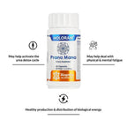 Biogetica Holoram Prana Mana | Grocsy