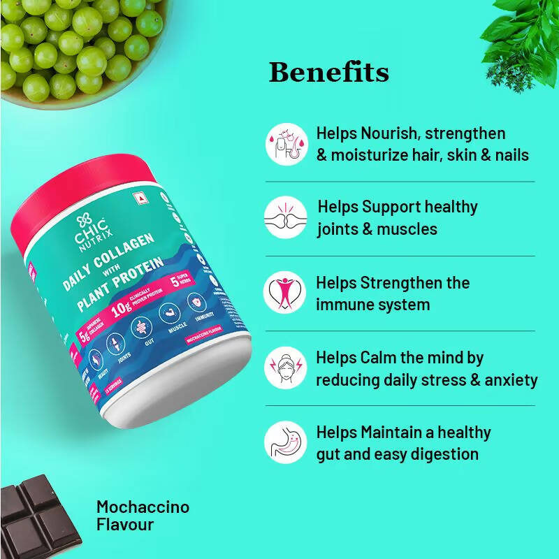 Chicnutrix Daily Collagen With Plant Protein - Mochaccino Flavor | Grocsy