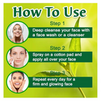 VedicAyurveda Tea Tree Hydrosol Skin Toner | Grocsy