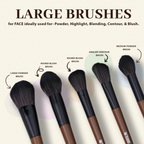 Bronson Professional Premium Makeup Brush Set For Face & Eye | Grocsy