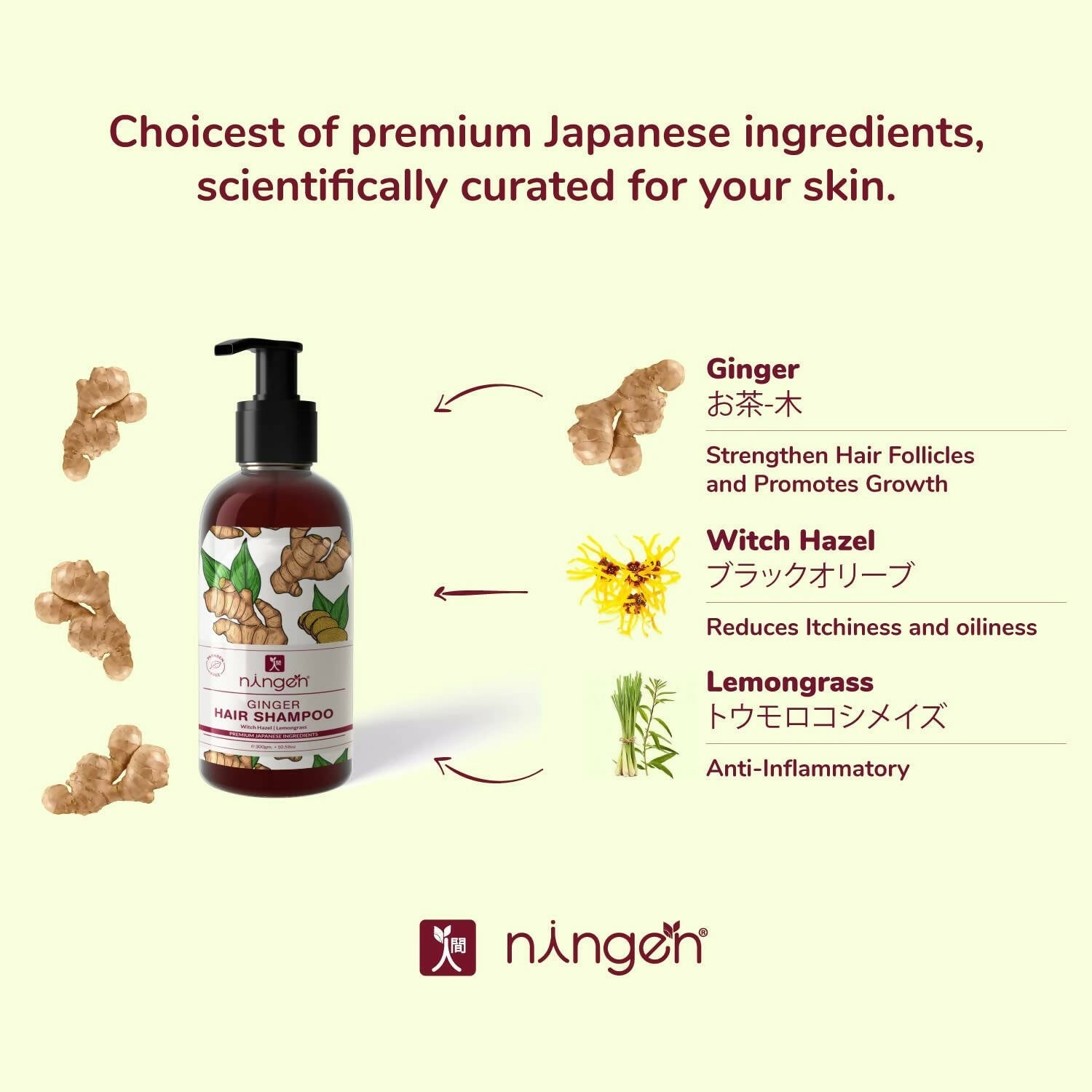 Ningen Ginger Hair Shampoo | Grocsy