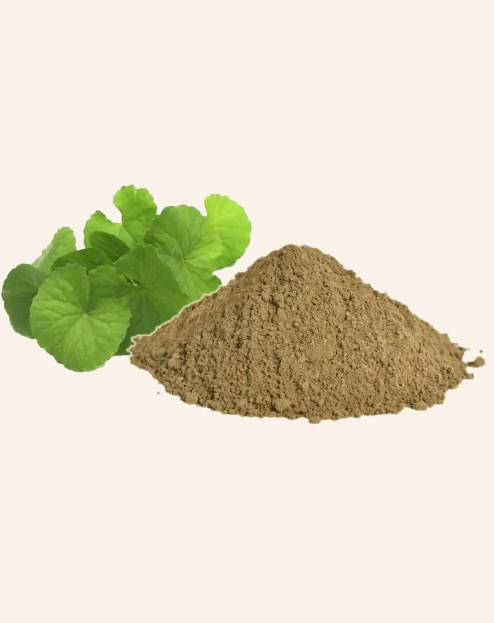 Simandhar Brahmi Powder | Grocsy