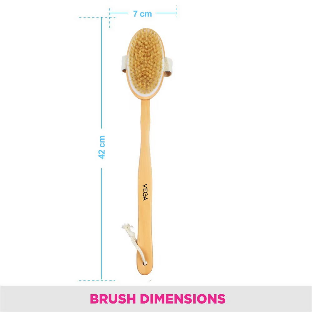 Vega Natural Bristle Bath Brush | Grocsy