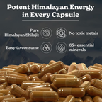 Better Alt Himalayan Sj Capsules | Grocsy