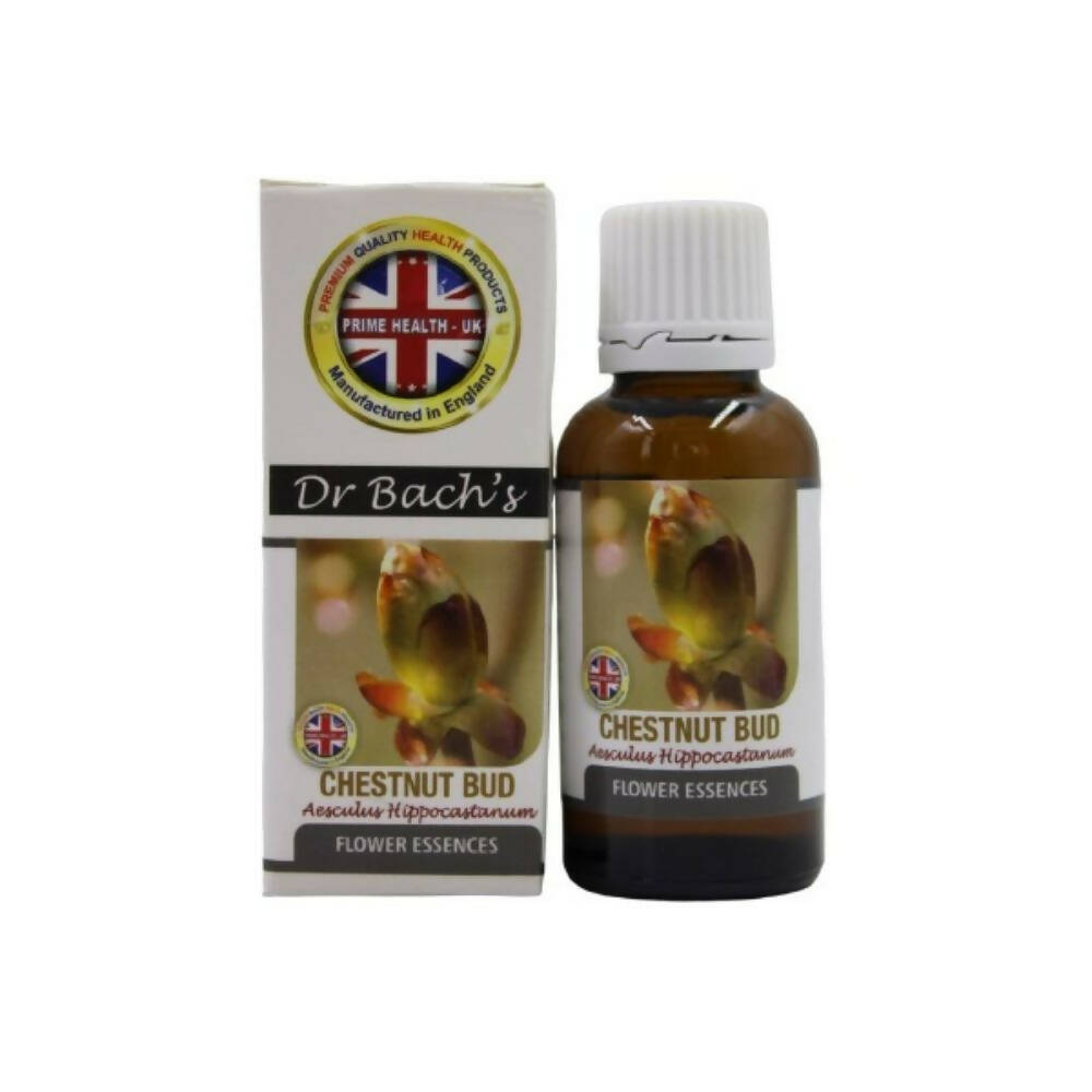 Dr. Bach's Chestnut Bud (Pure Essence) Bach Flower | Grocsy