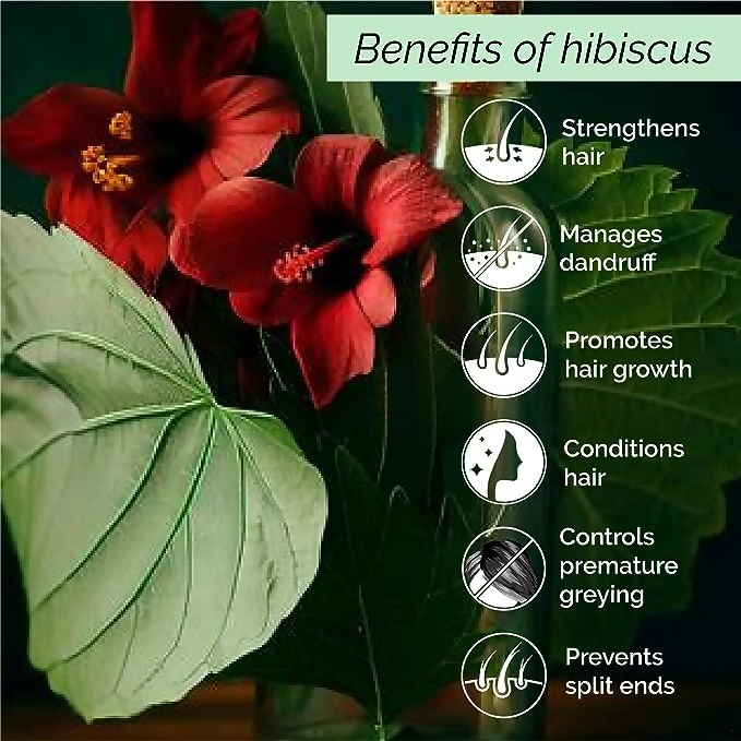 Pyoura Hibiscus Hair Mist Spray For Itchy Dry Scalp & Dandruff Non-Oily Heat Protection Hair Mist Tonic Supports Hair Growth | Grocsy