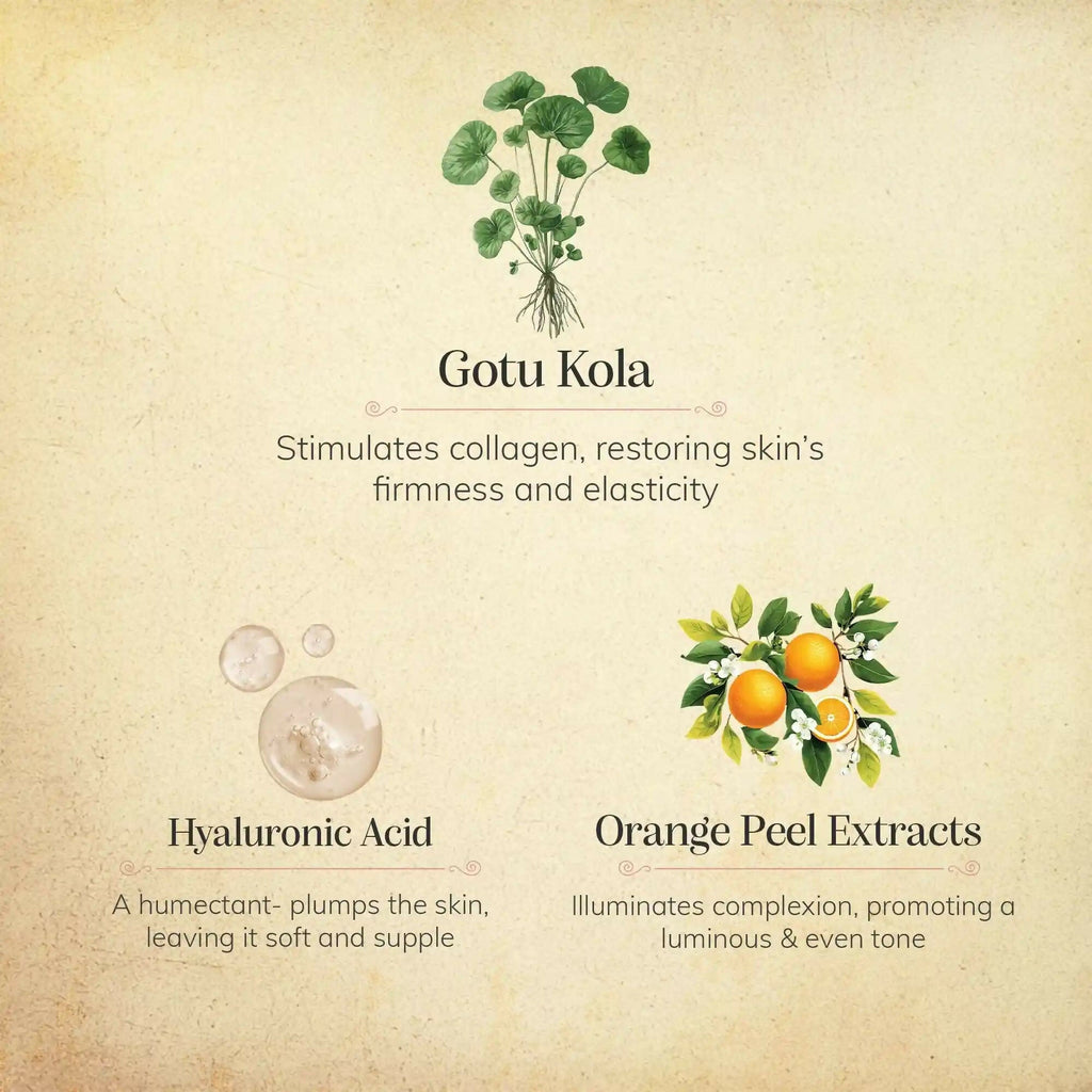 Chengavi Vit-C & Gotu Kola Face Serum | Grocsy