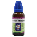 Father Muller Syzygium Jambolanum Mother Tincture Q | Grocsy