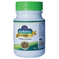 Wilson Gokhru Tribulus Terrestris Powder | Grocsy