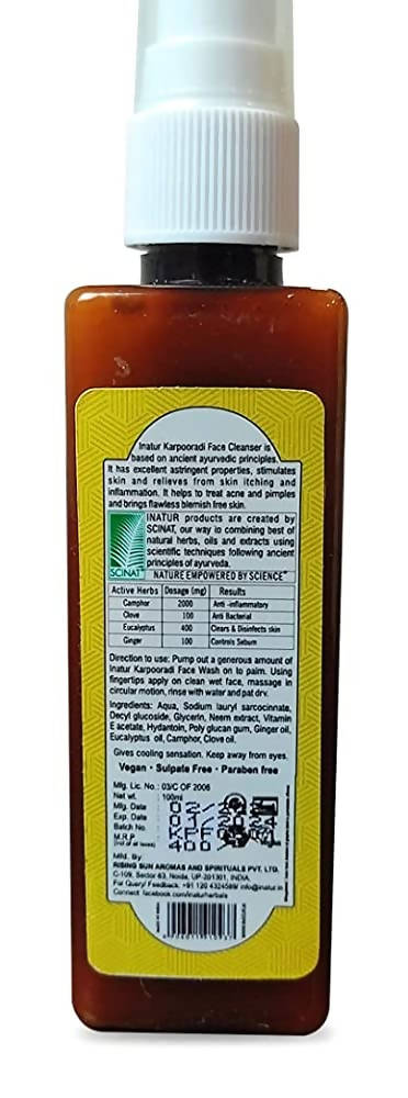 Inatur Karpooradi Face Cleanser | Grocsy