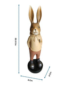 Sun Mun Decors Sunny Bunny | Grocsy