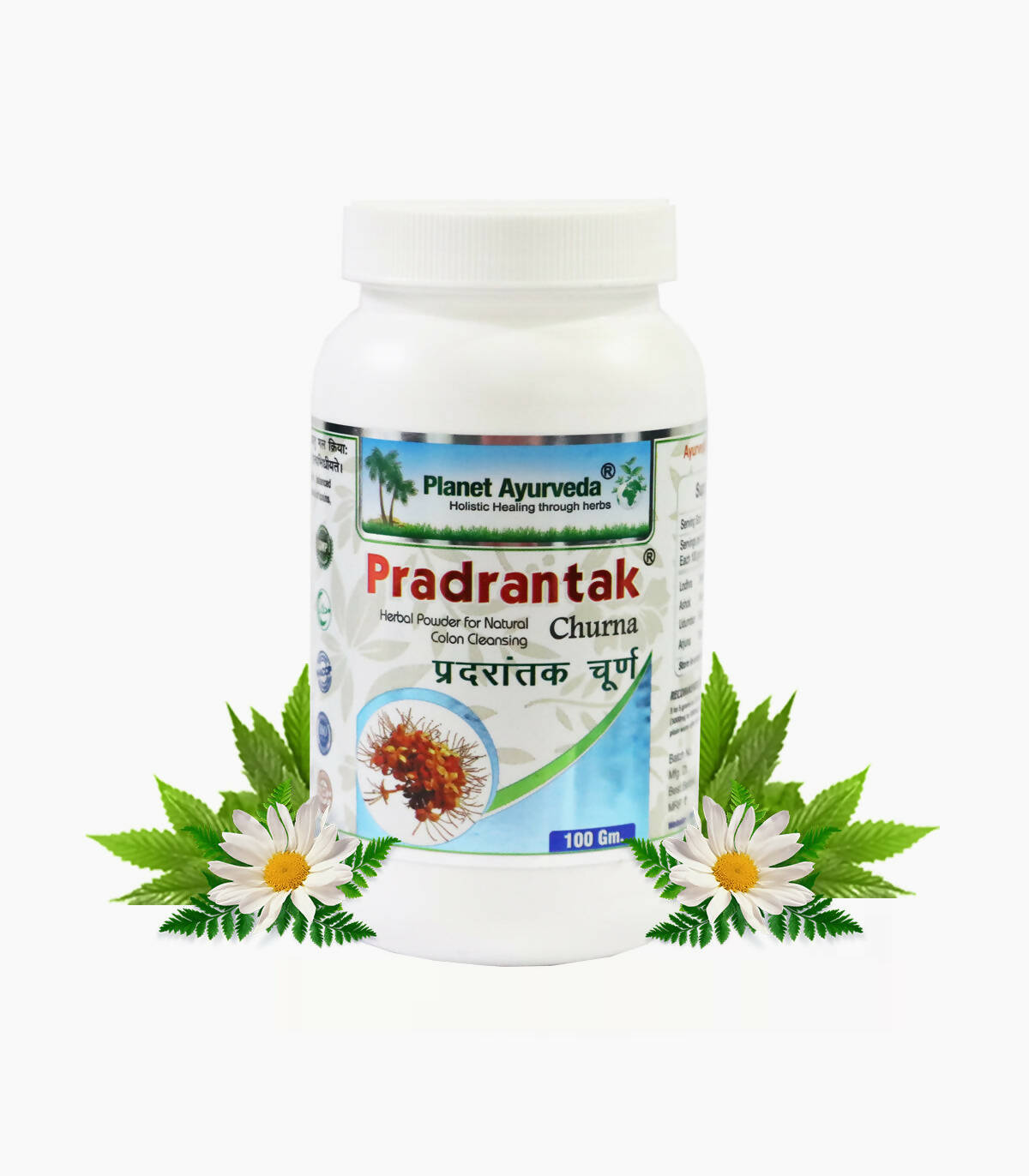 Planet Ayurveda Pradrantak Churna | Grocsy
