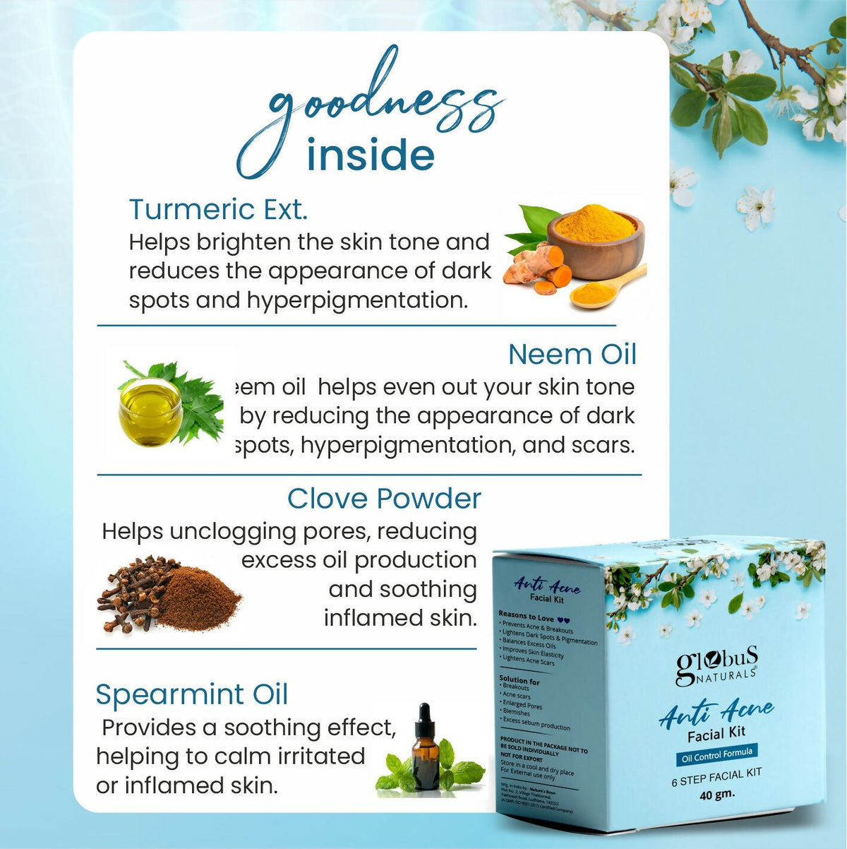 Globus Naturals Anti Acne 6 Step Facial Kit | Grocsy