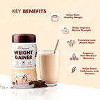 Dr. Morepen Weight Gainer - Chocolate Flavor | Grocsy