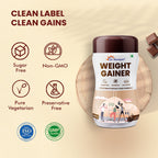Dr. Morepen Weight Gainer - Chocolate Flavor | Grocsy
