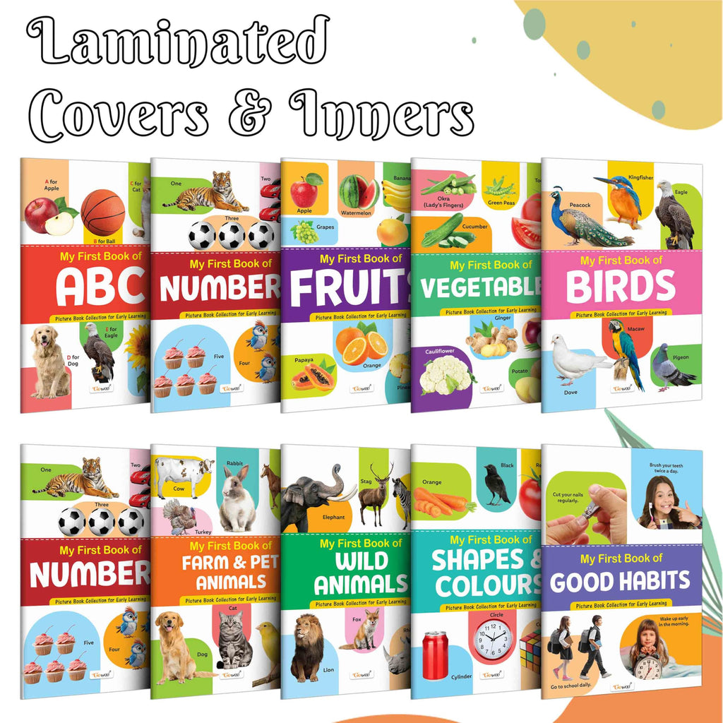 My First Picture Book Collection For Early Learning : Books For Children, Learning Picture Library For Kids, Toddler Book, Early Learning Book With 10 Topics | Grocsy