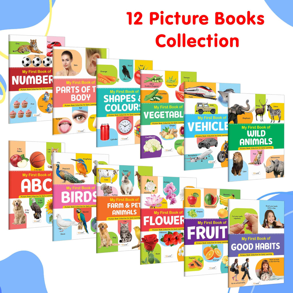 My First Picture Book Collection For Early Learning : Books For Children, Learning Picture Library For Kids, Toddler Book, Early Learning Book With 12 Topics | Grocsy