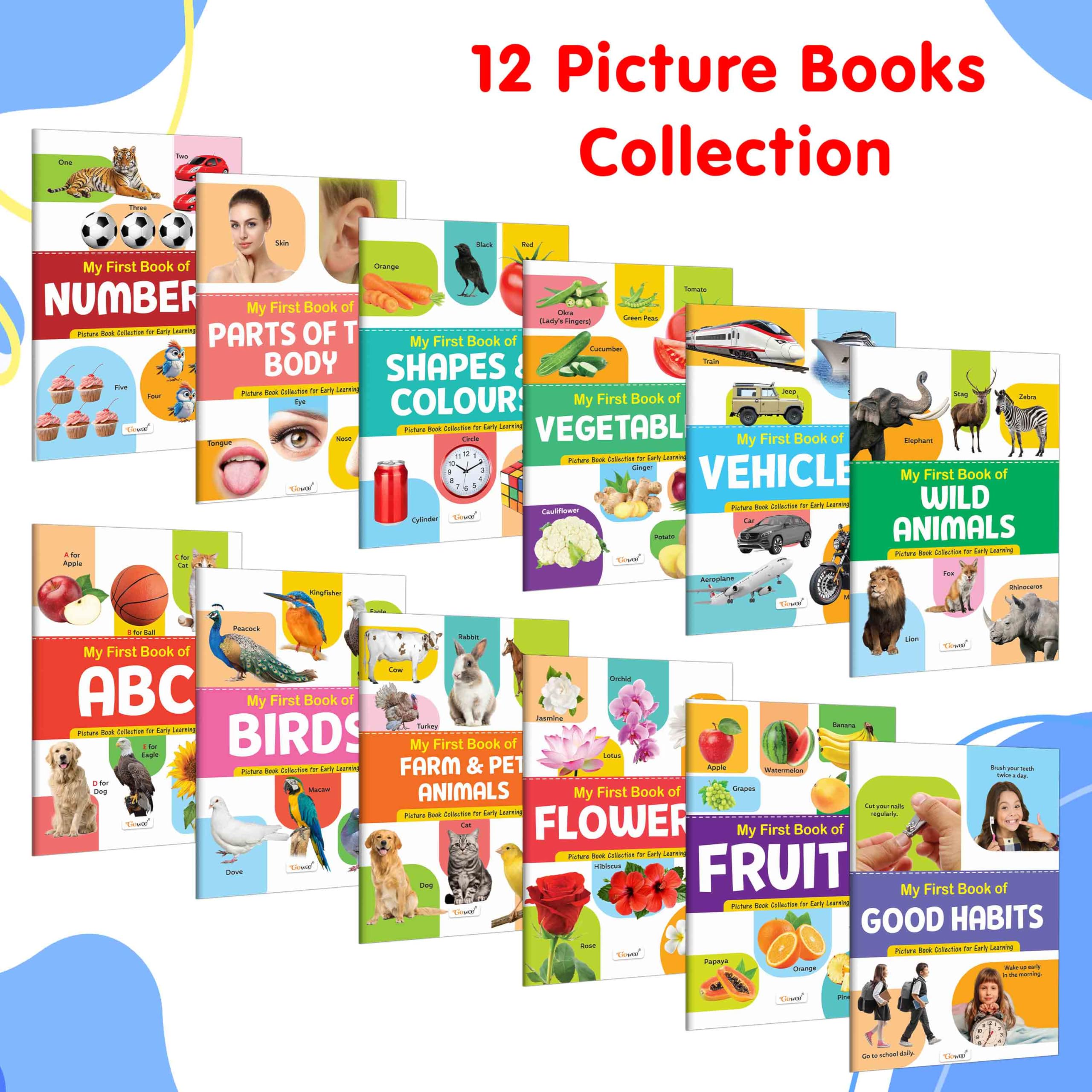 My First Picture Book Collection For Early Learning : Books For Children, Learning Picture Library For Kids, Toddler Book, Early Learning Book With 12 Topics | Grocsy