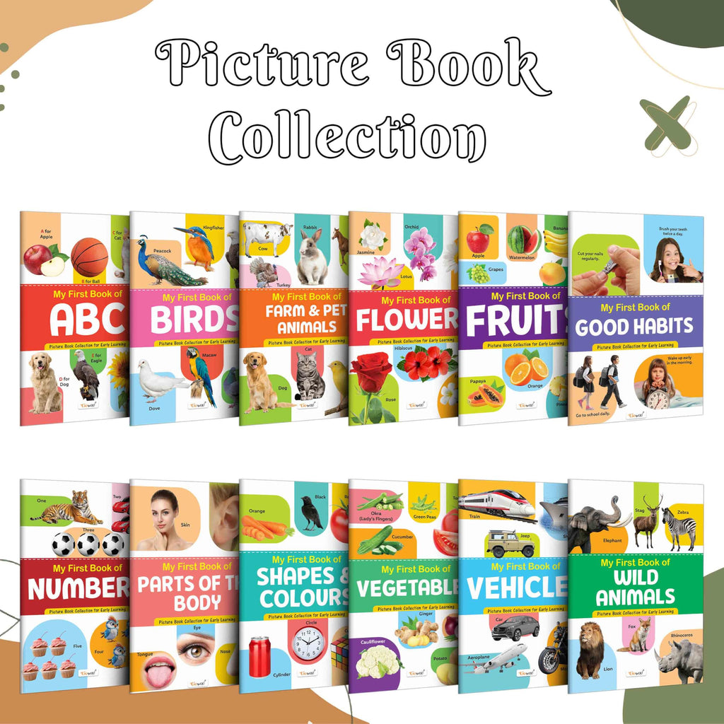 My First Picture Book Collection For Early Learning : Books For Children, Learning Picture Library For Kids, Toddler Book, Early Learning Book With 12 Topics | Grocsy