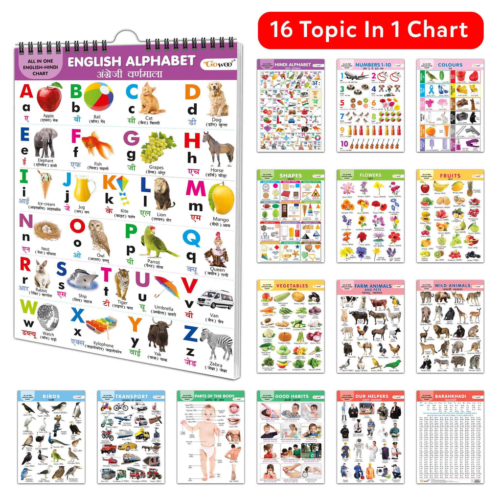 English-Hindi Chart For Kids (16 Charts ) 36 X 50 Cm - Children Spiral Wall Picture Chart | Grocsy