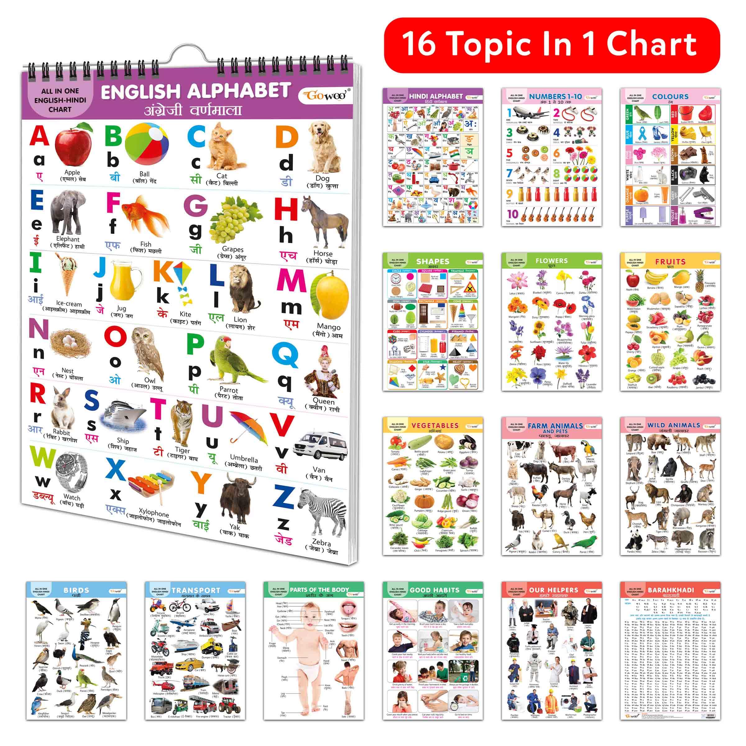 English-Hindi Chart For Kids (16 Charts ) 36 X 50 Cm - Children Spiral Wall Picture Chart | Grocsy