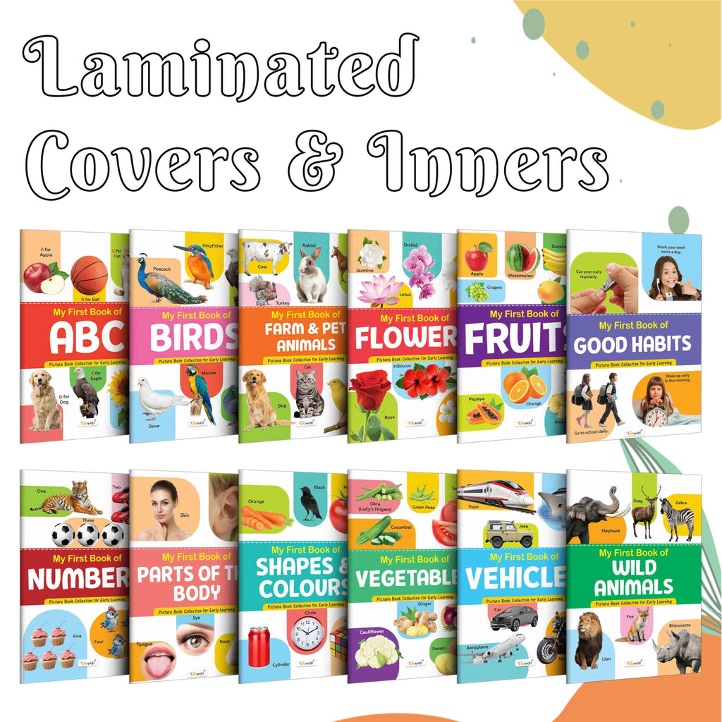 My First Picture Book Collection For Early Learning : Books For Children, Learning Picture Library For Kids, Toddler Book, Early Learning Book With 12 Topics | Grocsy