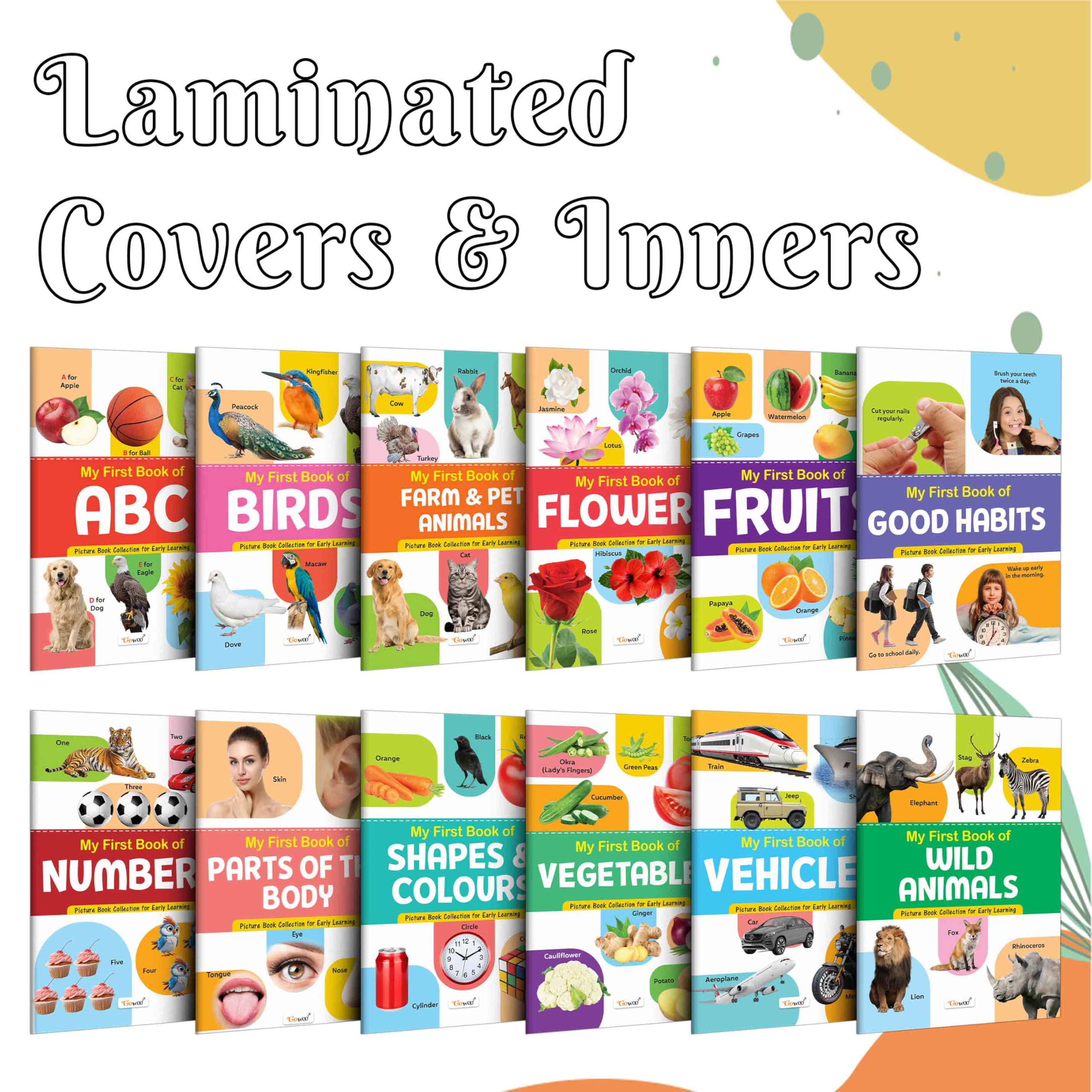 My First Picture Book Collection For Early Learning : Books For Children, Learning Picture Library For Kids, Toddler Book, Early Learning Book With 12 Topics | Grocsy