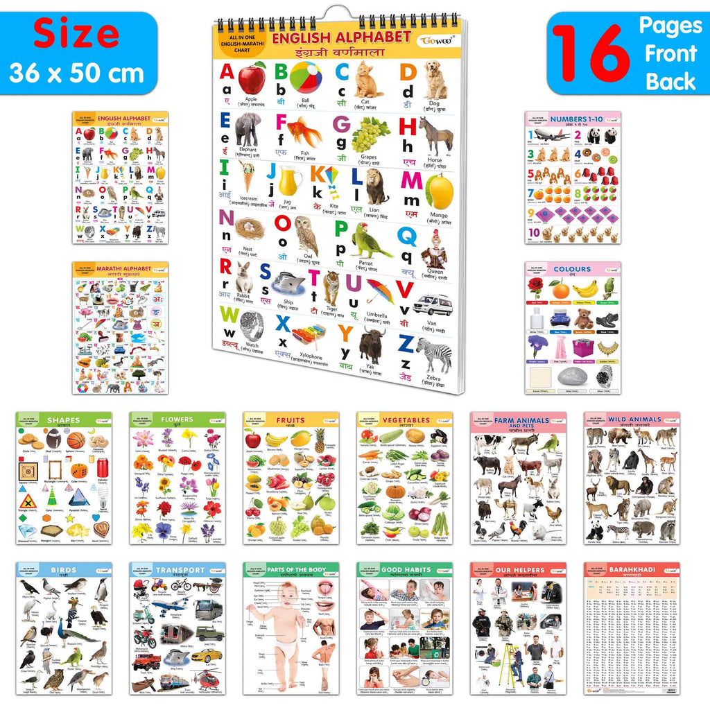 English-Marathi Chart For Kids (16 Charts ) 36 X 50 Cm - Children Spiral Wall Picture Chart | Grocsy