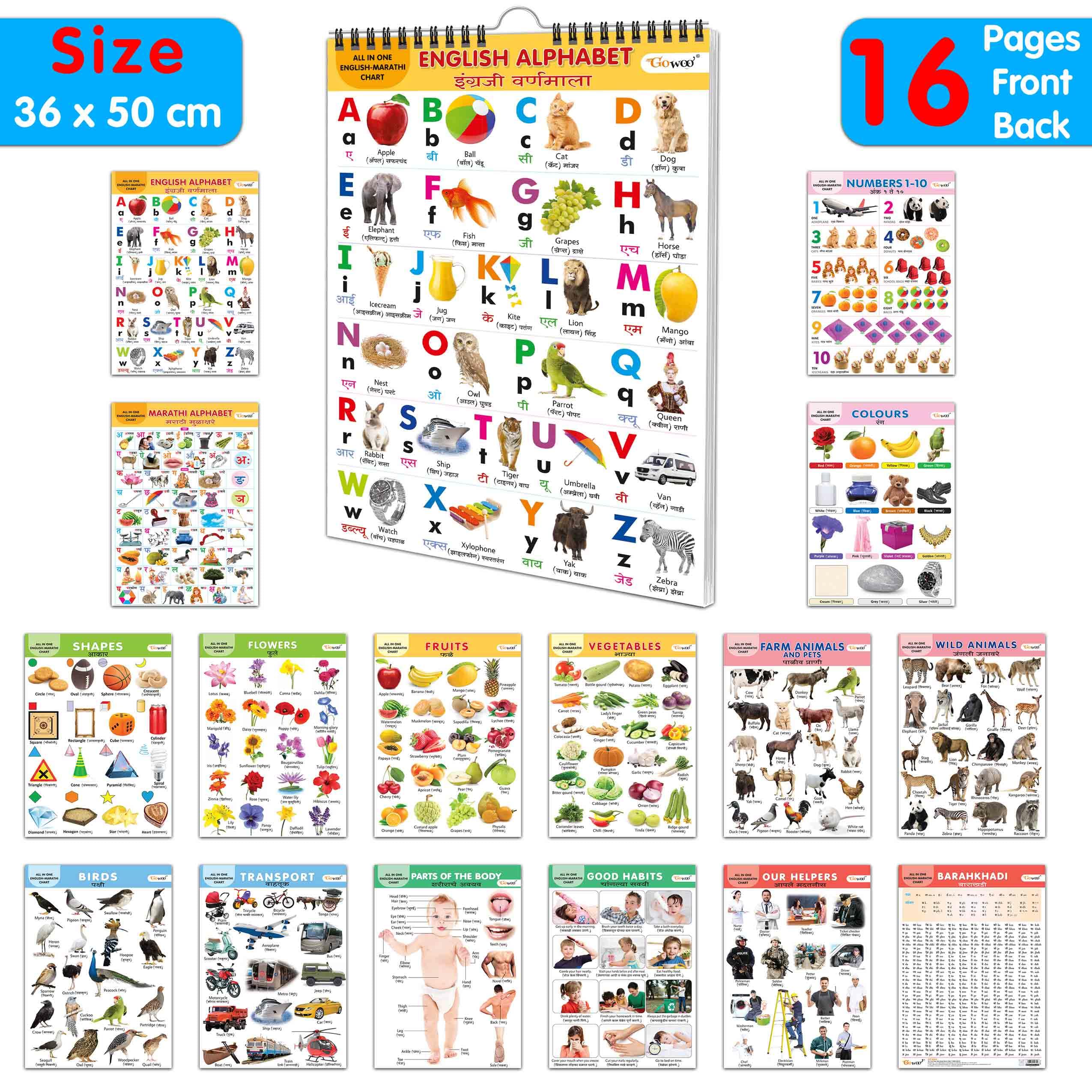 English-Marathi Chart For Kids (16 Charts ) 36 X 50 Cm - Children Spiral Wall Picture Chart | Grocsy