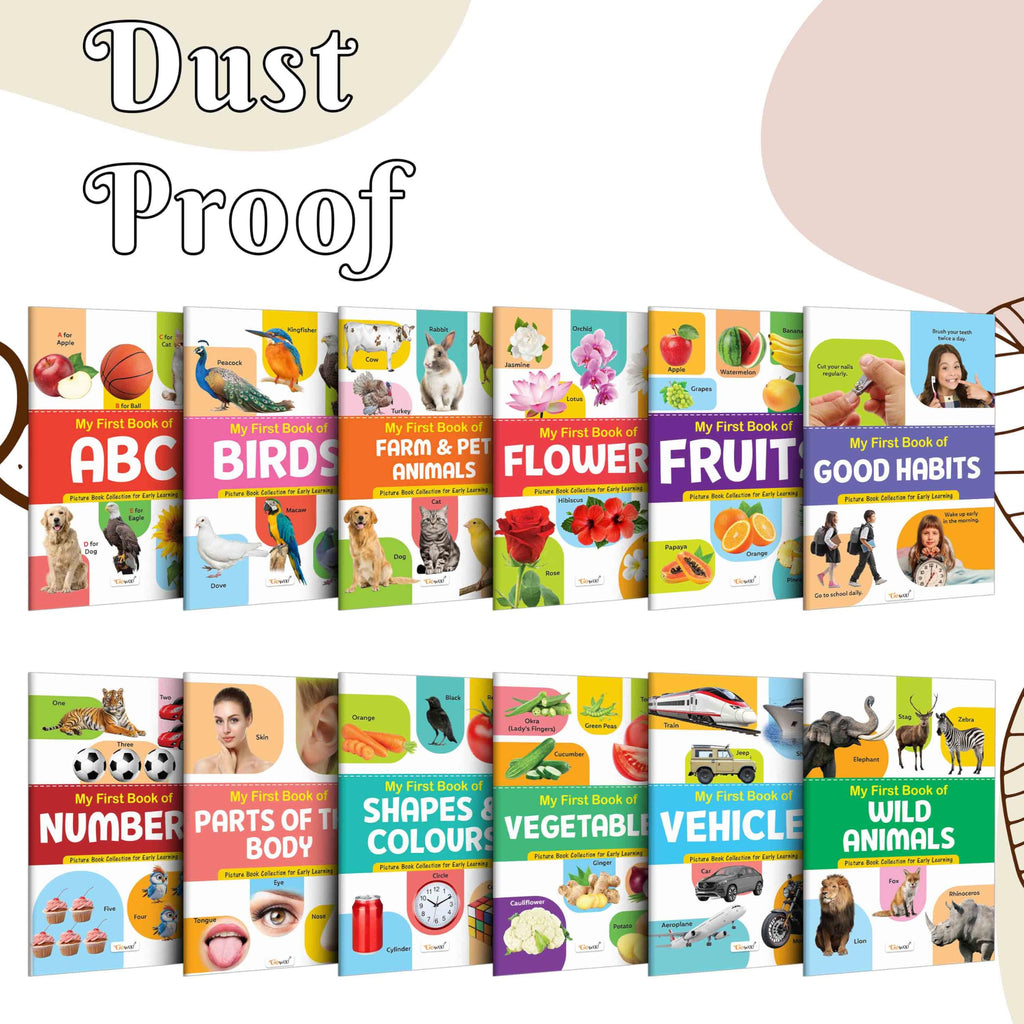 My First Picture Book Collection For Early Learning : Books For Children, Learning Picture Library For Kids, Toddler Book, Early Learning Book With 12 Topics | Grocsy